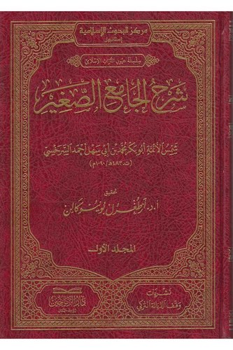Şerhül Camiis Sagir-شرح الجامع الصغير