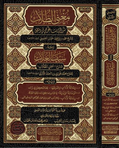 Mugnit Tullab Şerhu İsaguci fil Mantık ve Maahu Seyfül Gullab Şerhi Mugnit Tullab / Muhammed Fevzi b. Ahmed El Edreni-مغني الطلا