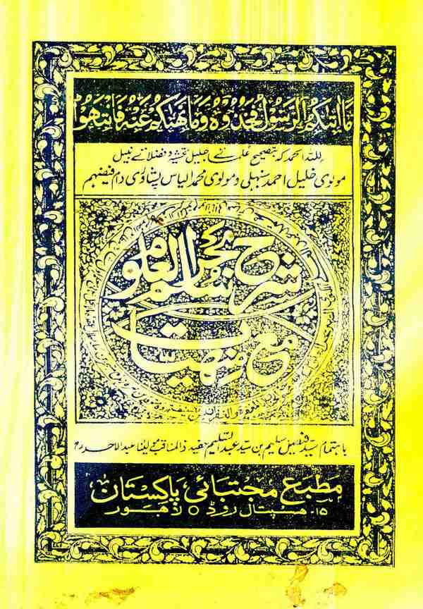 Şerhu Süllemi Bahril Ulum Maa Menhiyyat-
