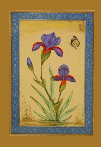El Hizbül Azam vel Virdül Efham ve Maahu Tercüme-i Hizbül Azam ve Virdül Efham / İbrahim Halil Efendi Fındıkzade-